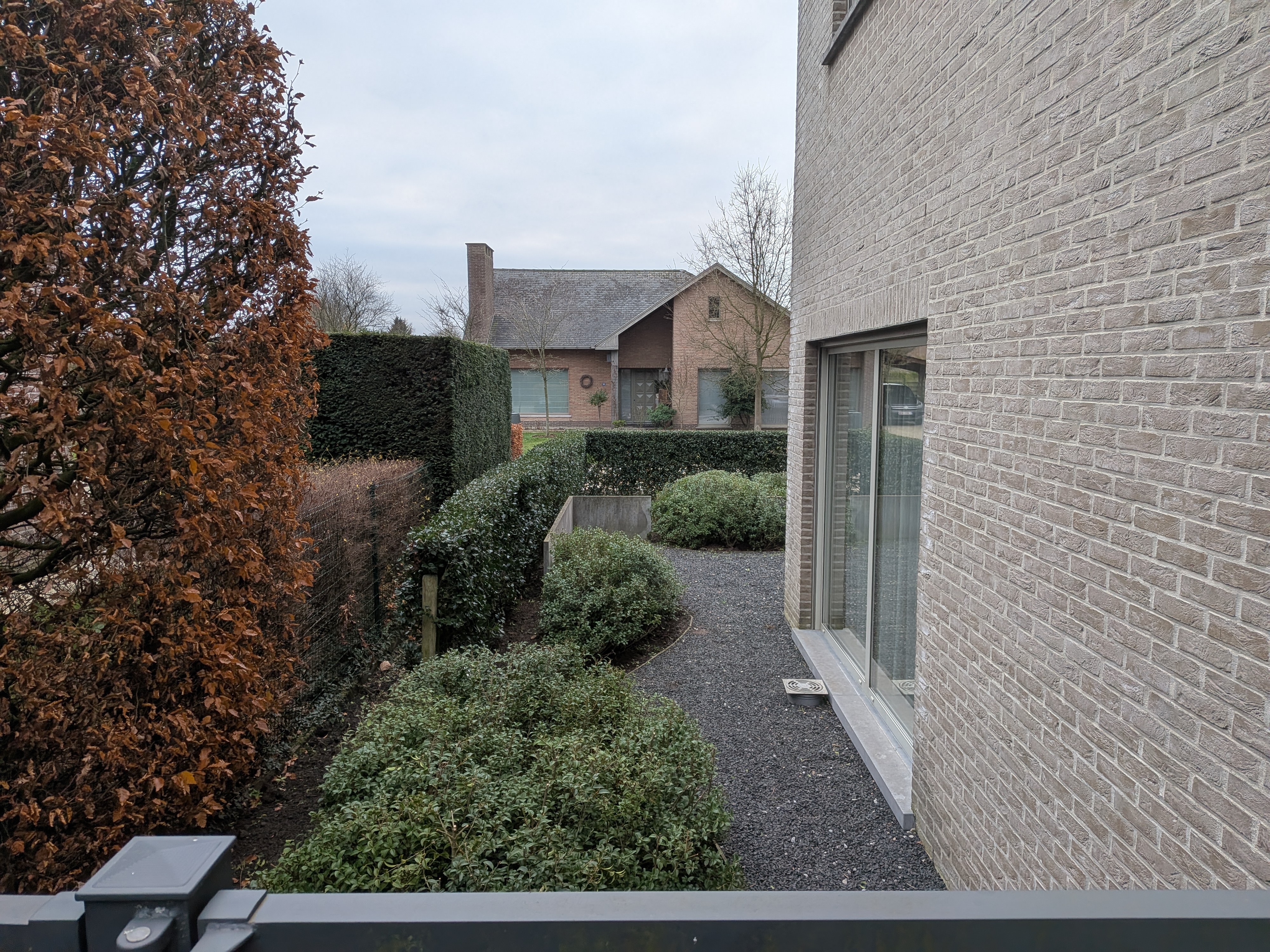 PXL 20251212 135653446