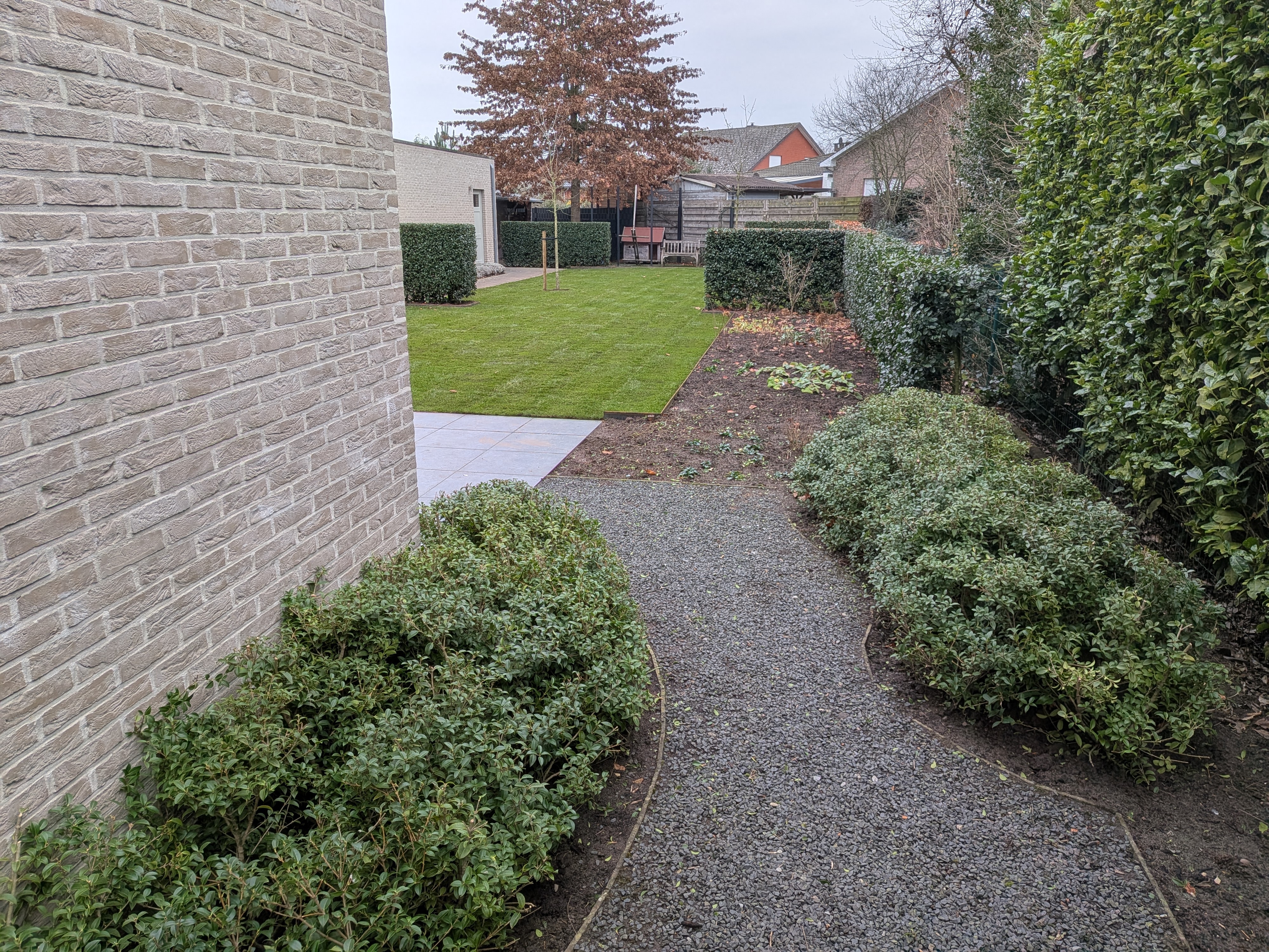 PXL 20251212 135701690