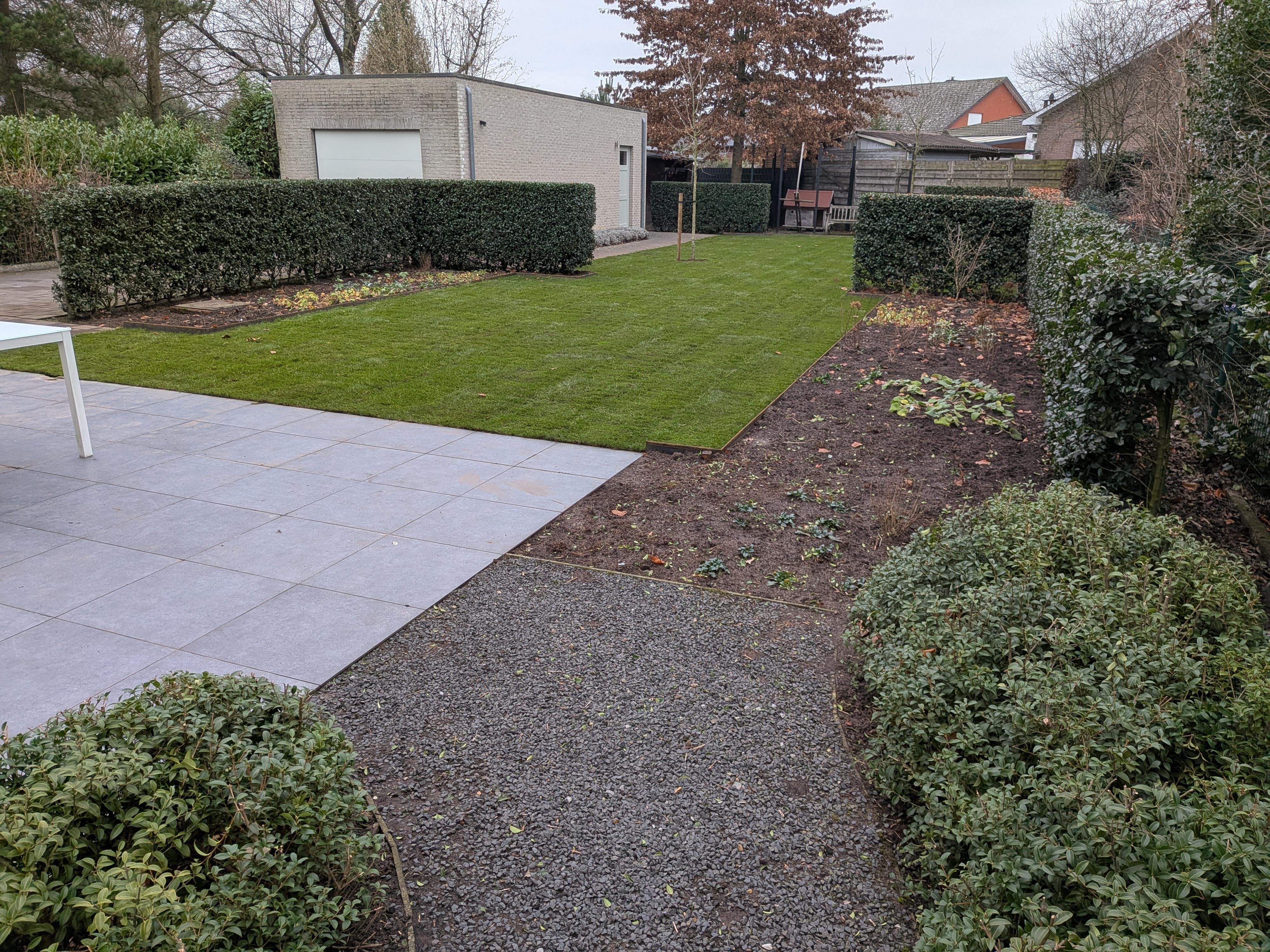 PXL 20251212 135713247