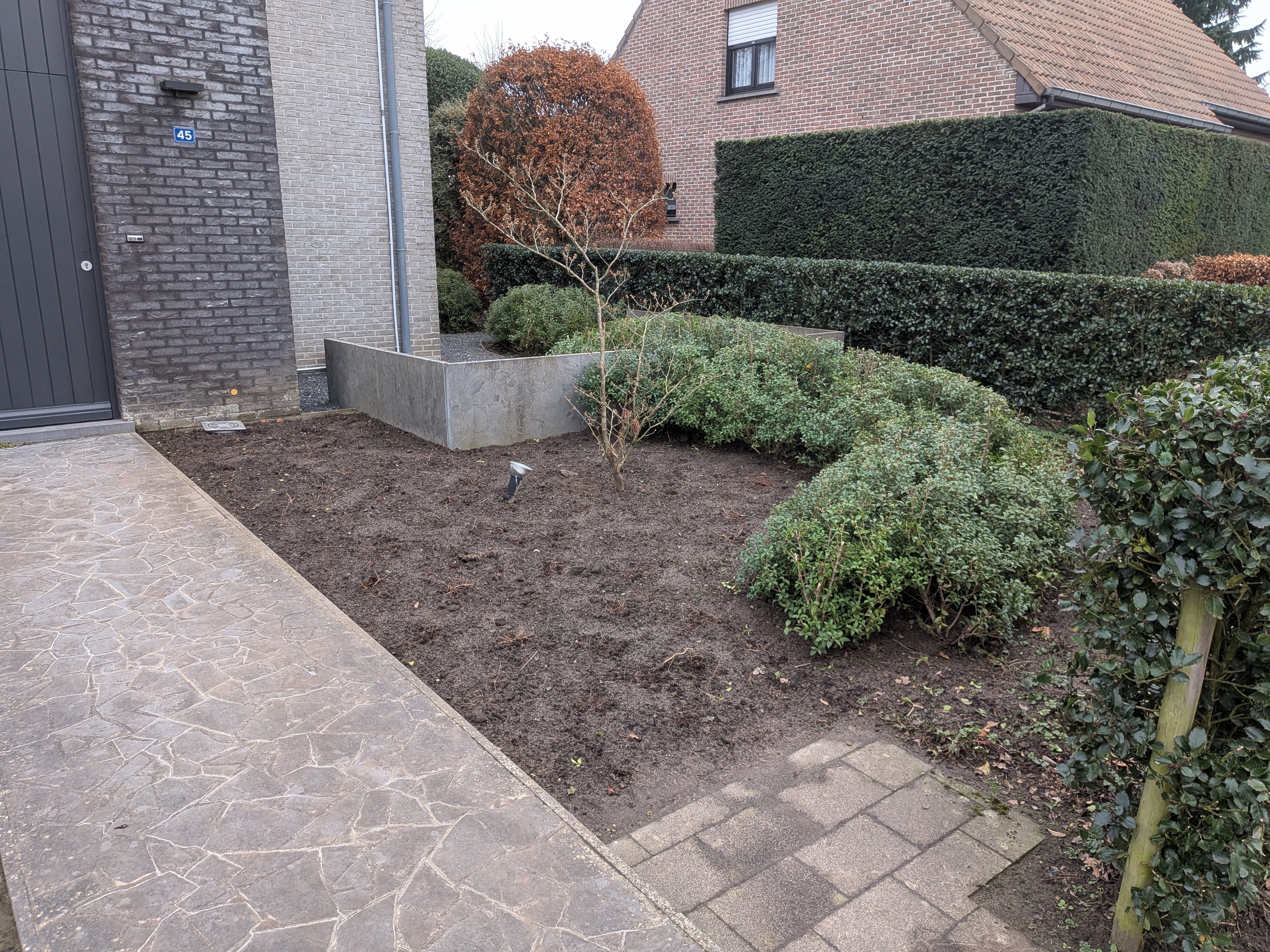 PXL 20251212 135901330