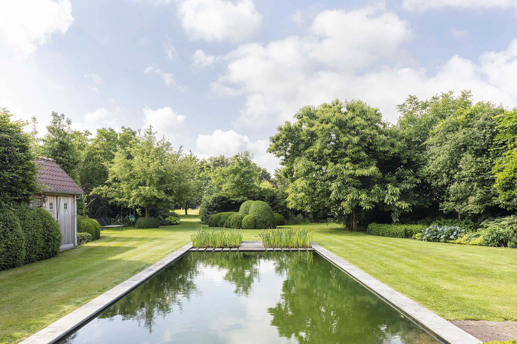 Candekoak022 optimized