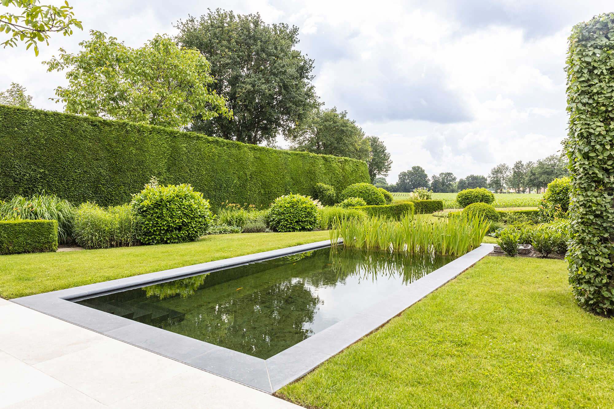 Candekoak132 optimized