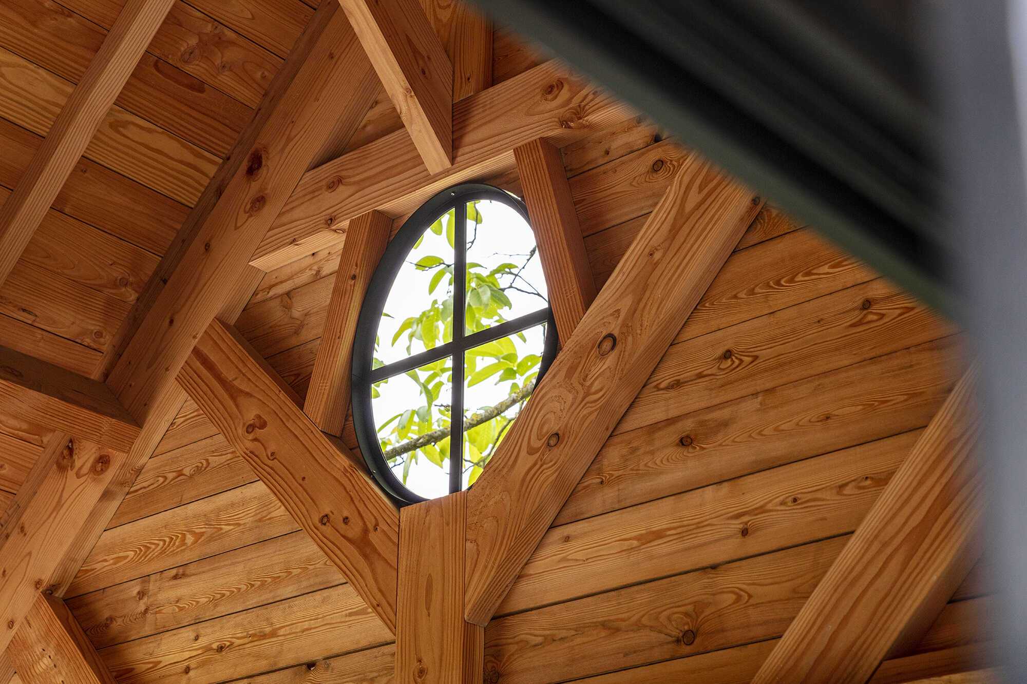 Candekoak134 optimized