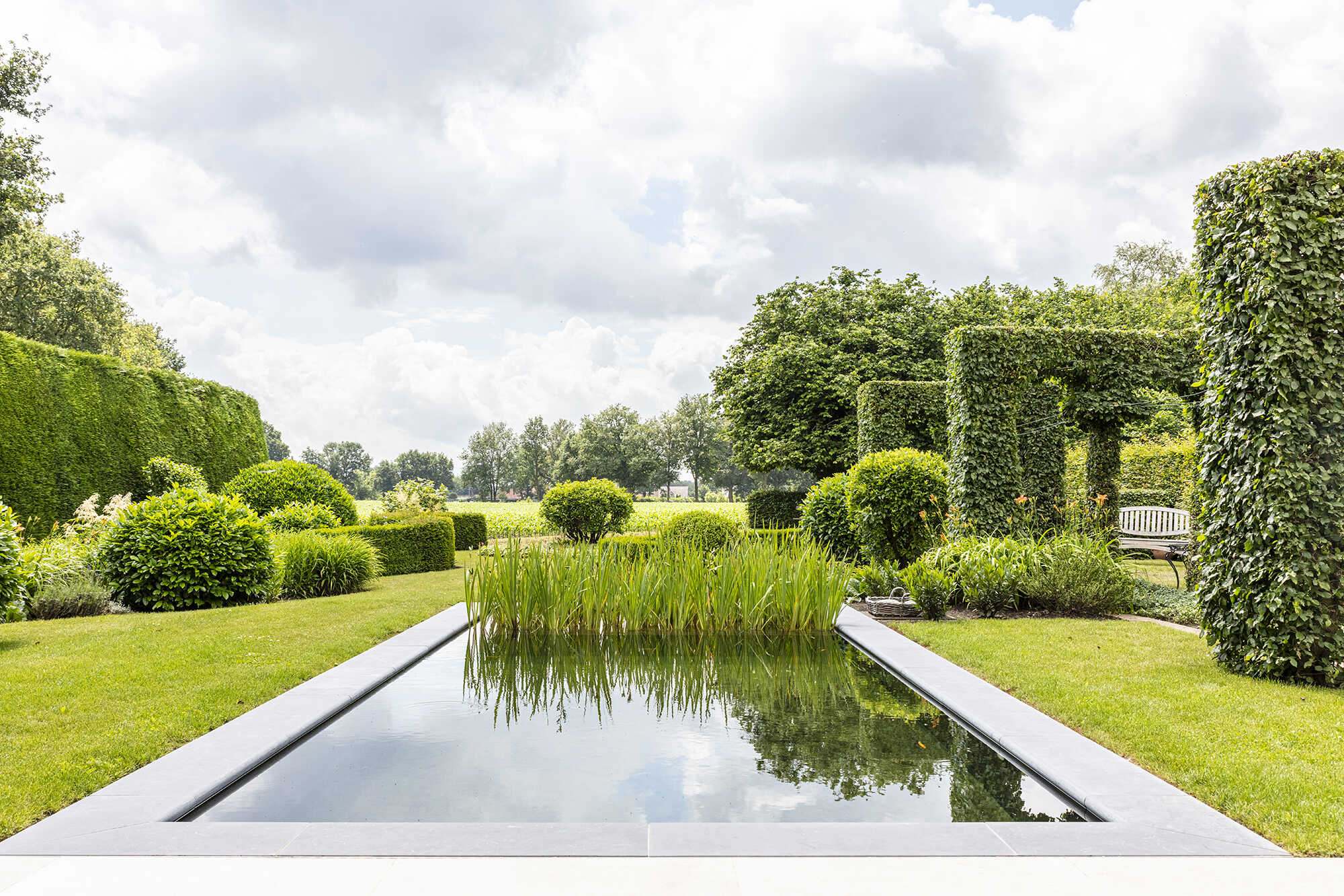 Candekoak139 optimized