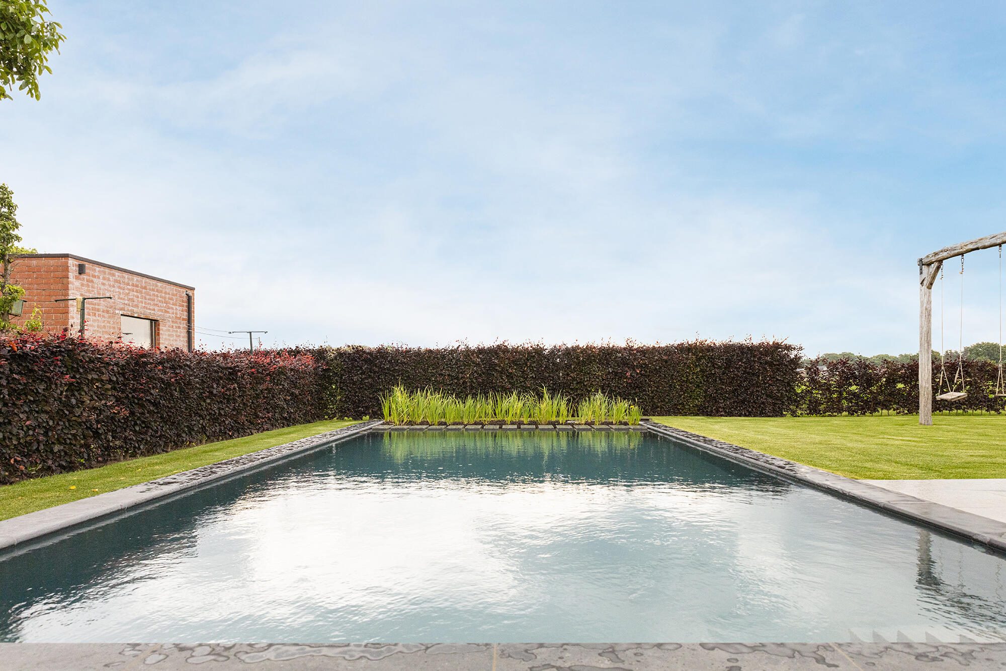 Candekoak179 optimized