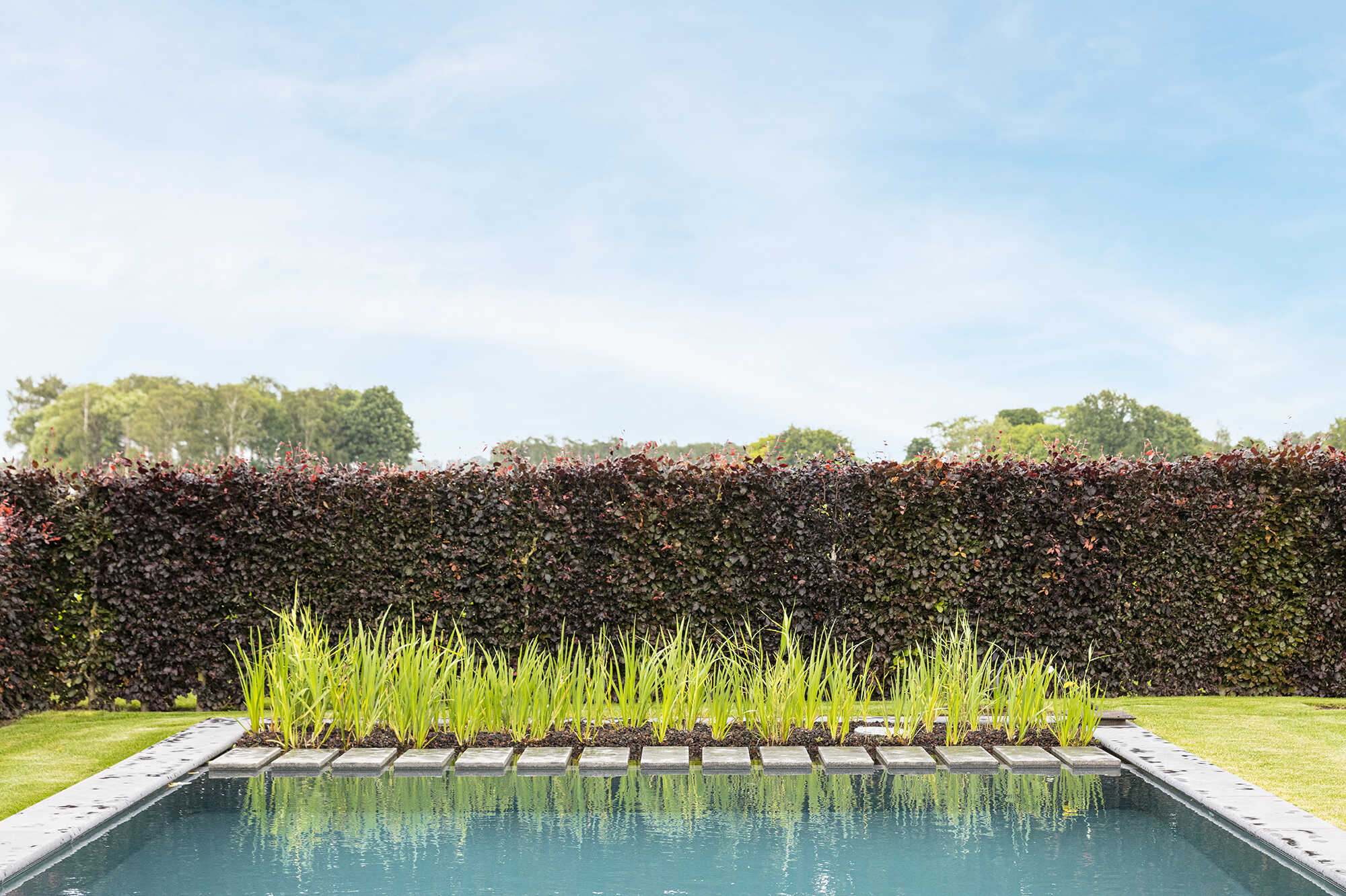 Candekoak192 optimized