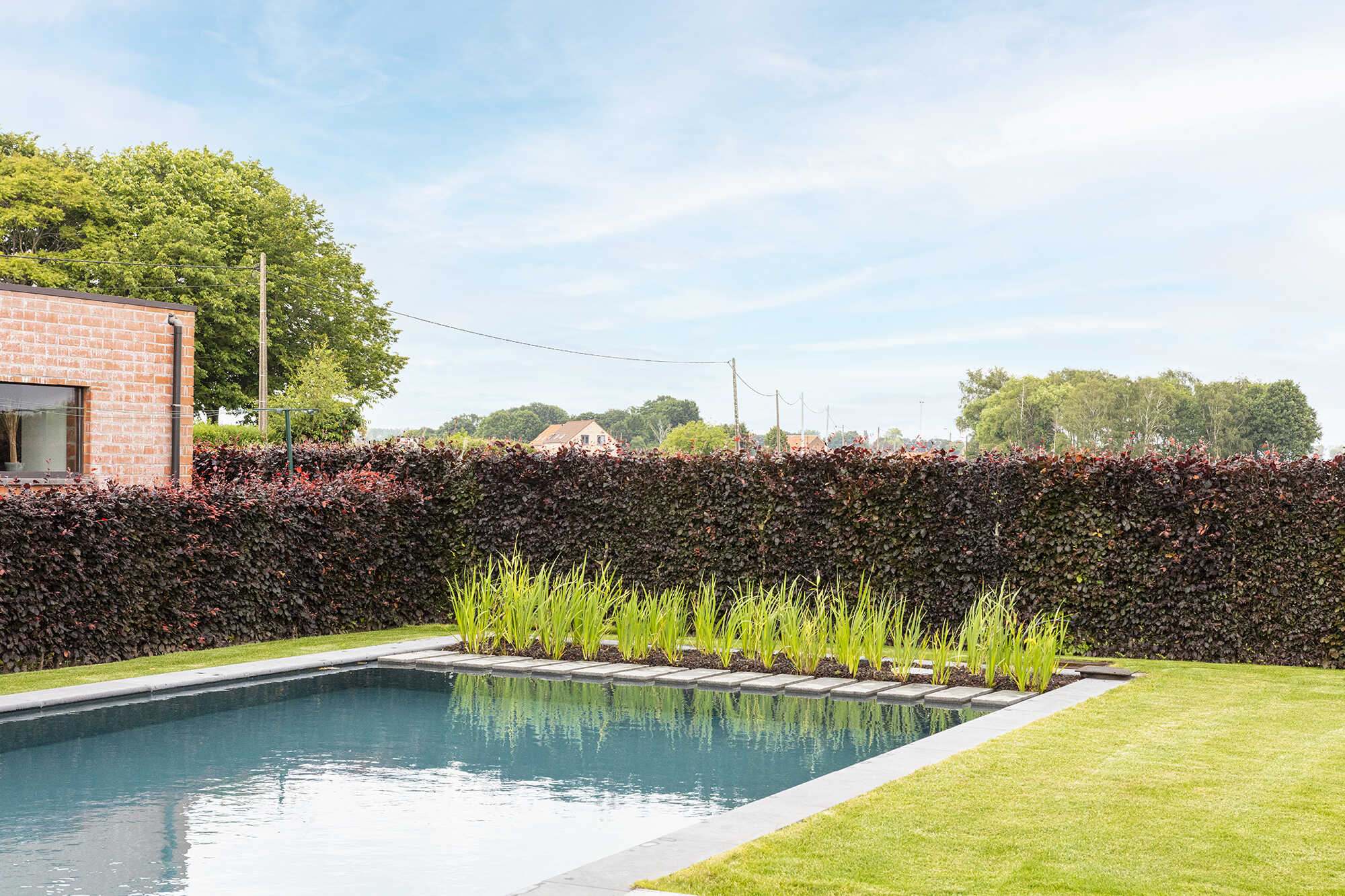 Candekoak197 optimized