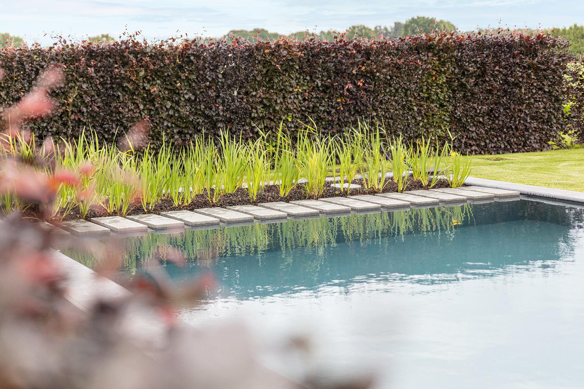 Candekoak198 optimized