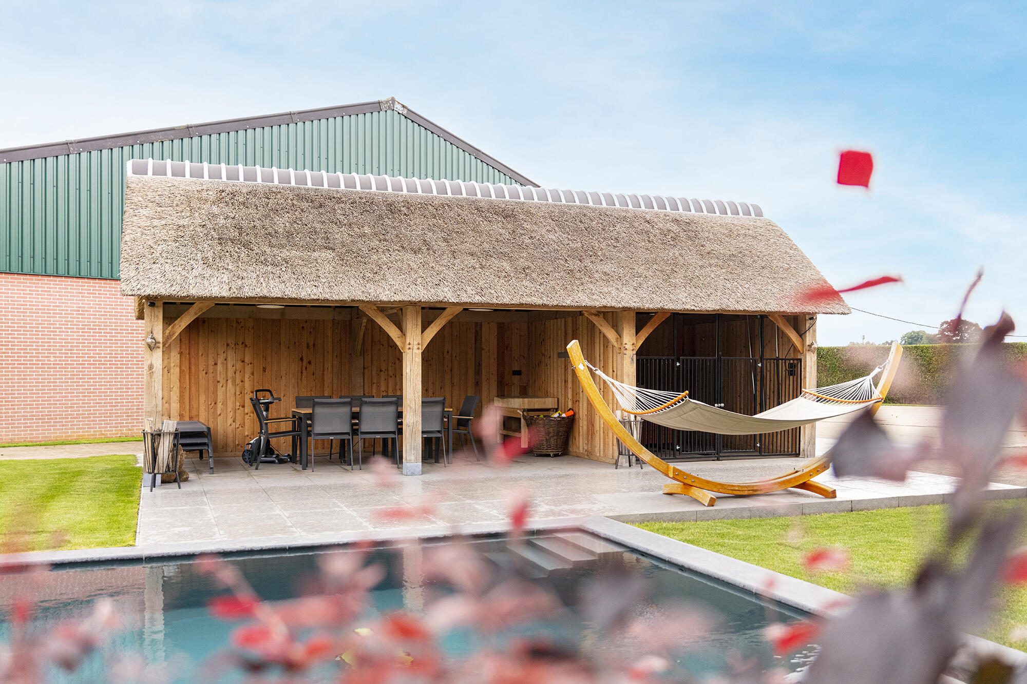 Candekoak199 optimized