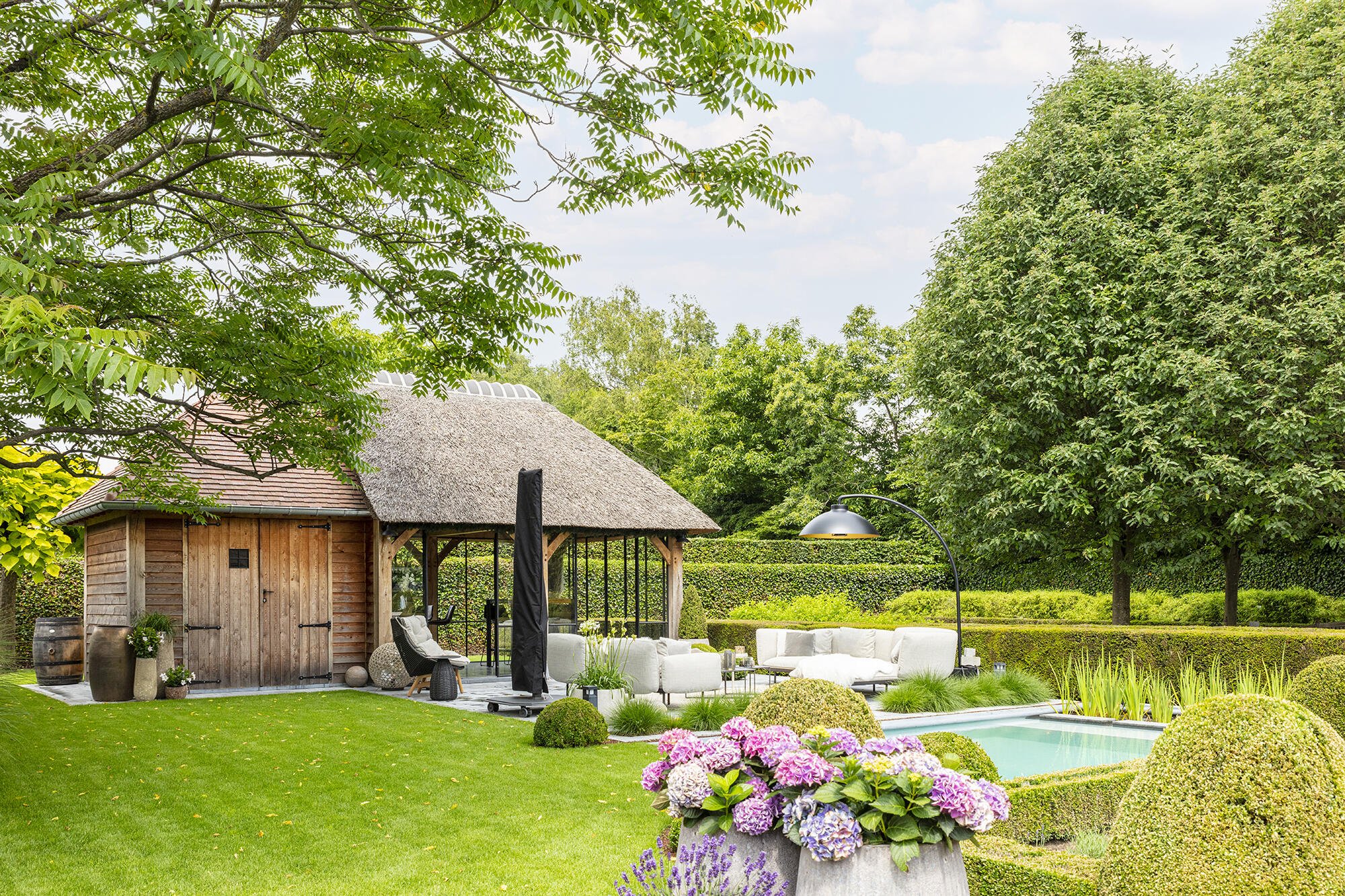 Candekoak207 optimized