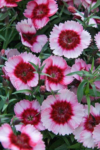 14d6b0529f78e67ea5c8efd7221ecb25