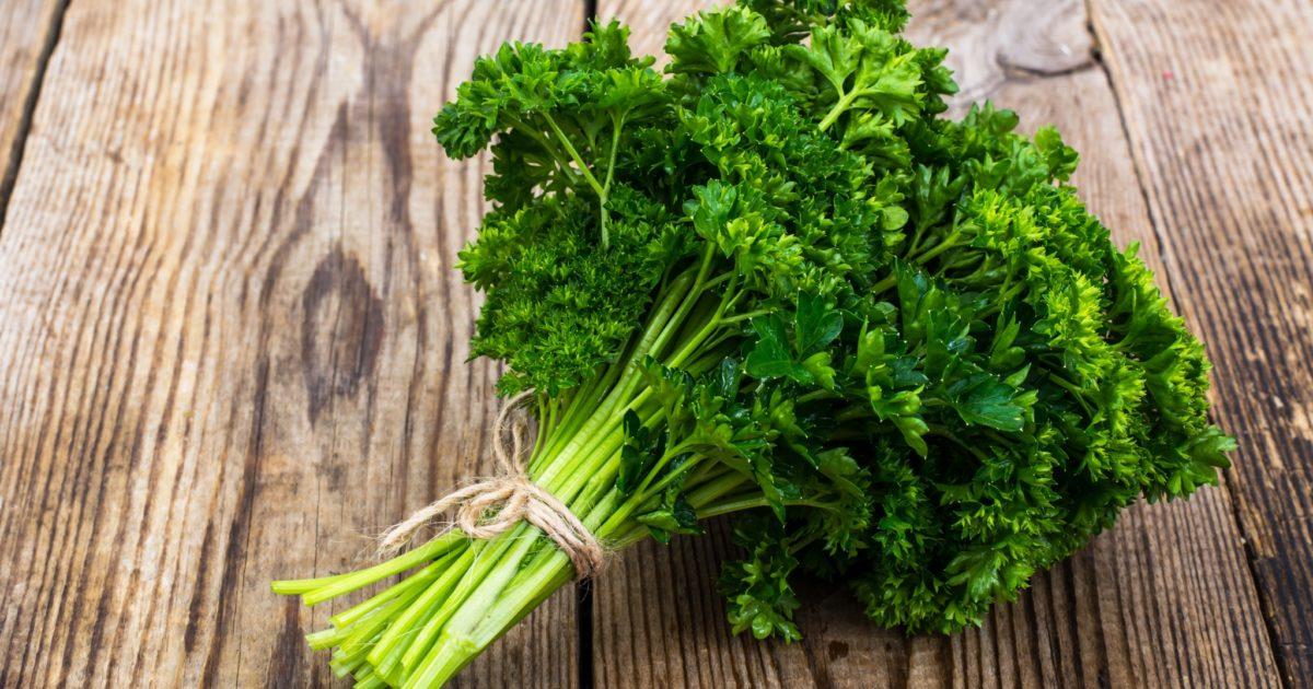 Krulpeterselie bussel