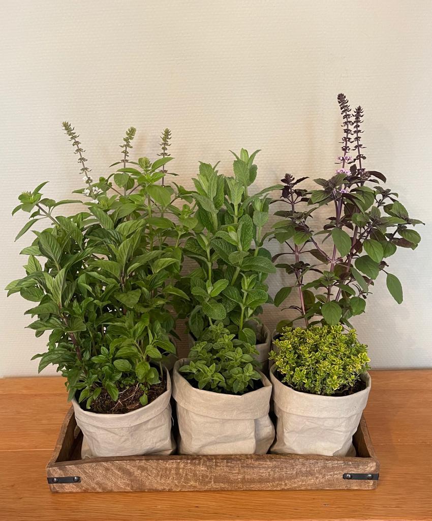 E651dd39 71b2 44be ab20 17482115e1be