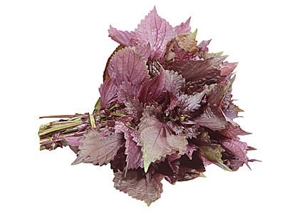 Shiso rood2
